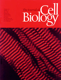 Cell Biology Cover 1991