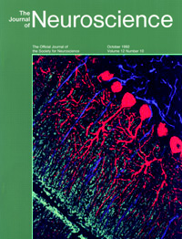 Neruoscience Cover 1992
