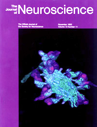 Neuroscience Cover 1993