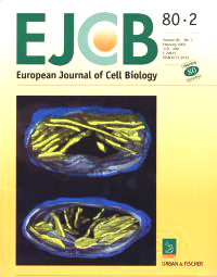 EJCB Cover 2001