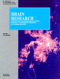 Brain Research Cover 2003